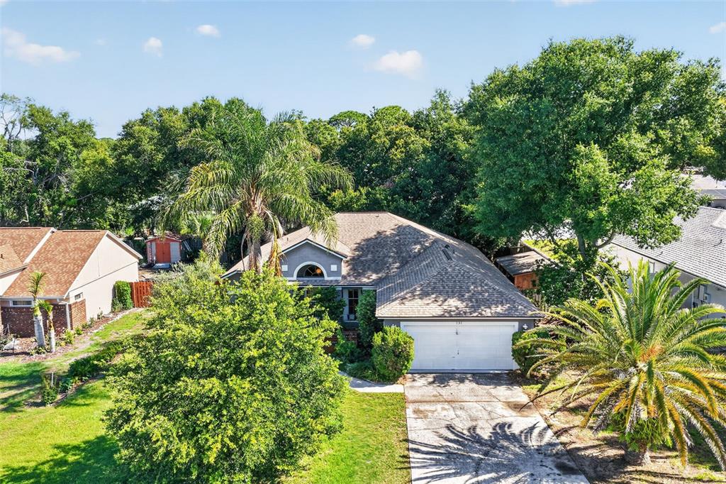 An aerial view of a single-story house with a two-car garage and palm trees — 131 MADRONA DRIVE, EUSTIS, FL