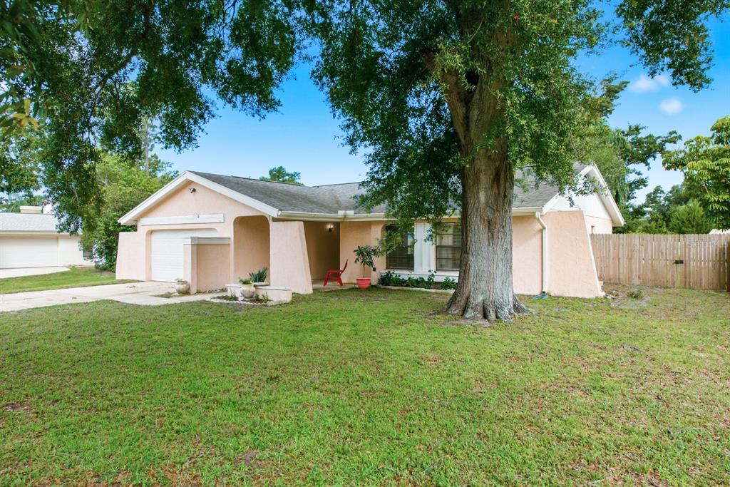 A single-story peach-colored house with a large tree in the front yard — 3916 LAKE ST GEORGE DRIVE, PALM HARBOR, FL