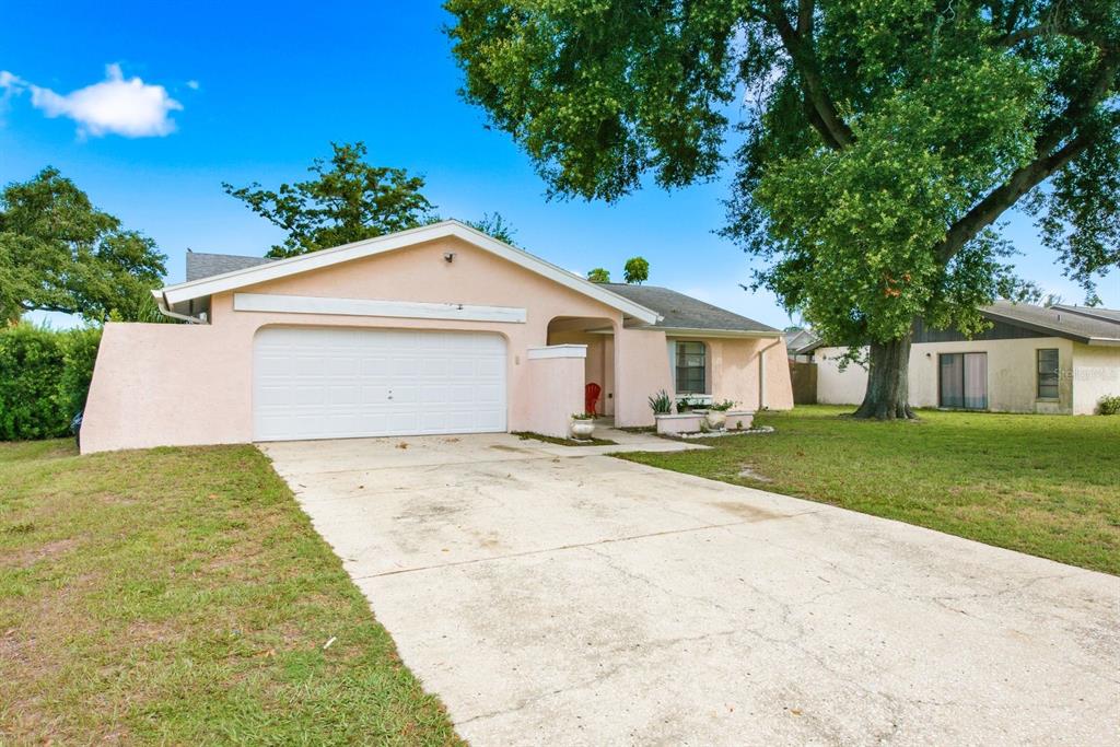 A single-story pink house with a two-car garage and a large tree in the yard — 3916 LAKE ST GEORGE DRIVE, PALM HARBOR, FL