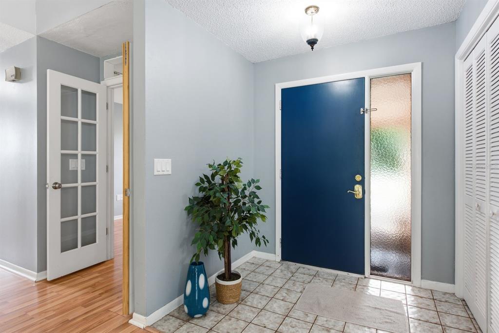 An entryway features a blue front door, tiled flooring, a potted plant, and light-colored walls — 3916 LAKE ST GEORGE DRIVE, PALM HARBOR, FL