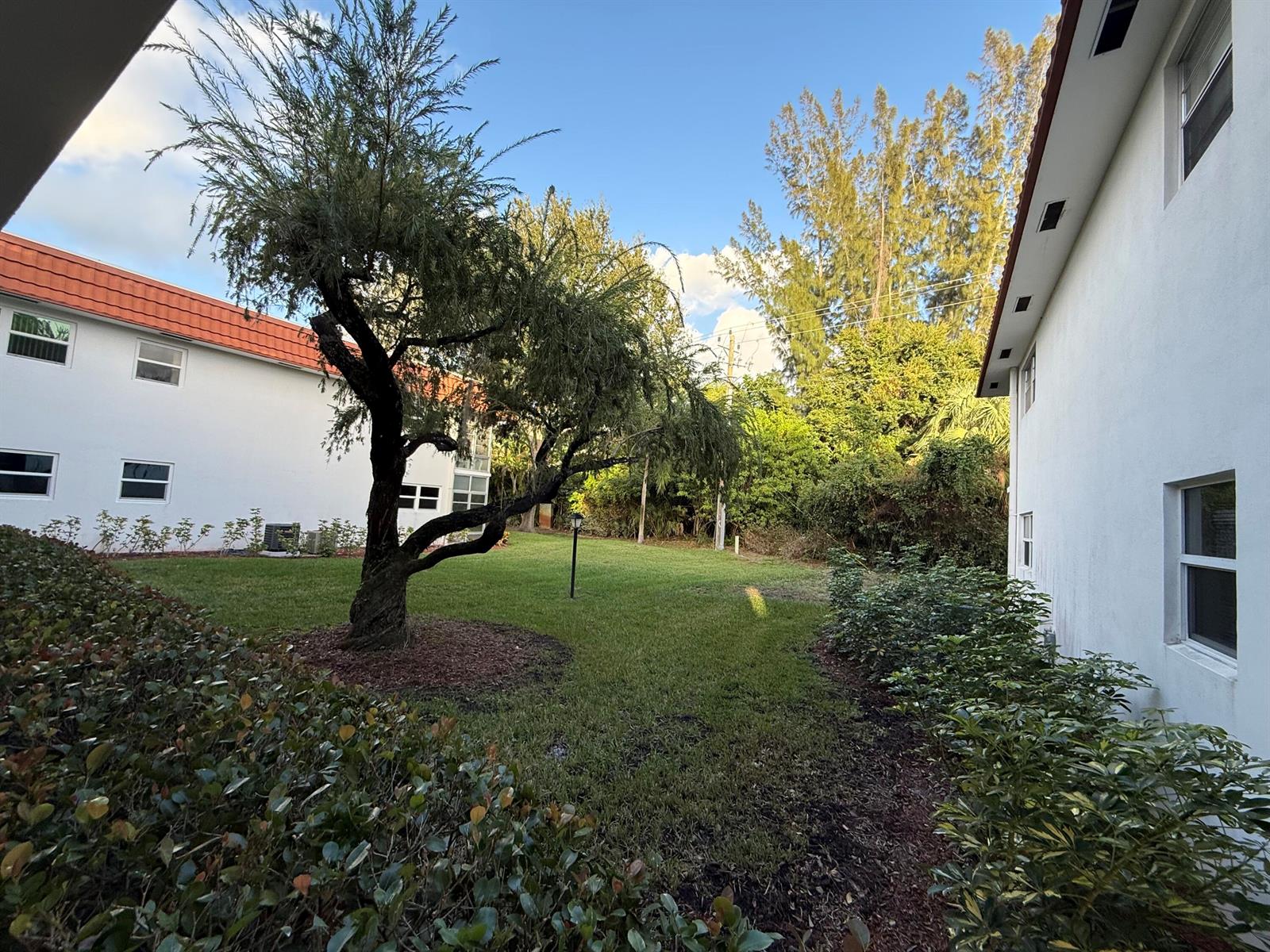 A grassy courtyard sits between two white apartment buildings with a large tree in center — 1225 NW 21st Street # 103, Stuart FL 34994, STUART, FL
