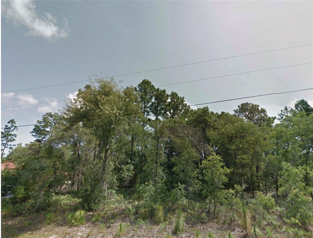 8383 N MANUETTA DRIVE