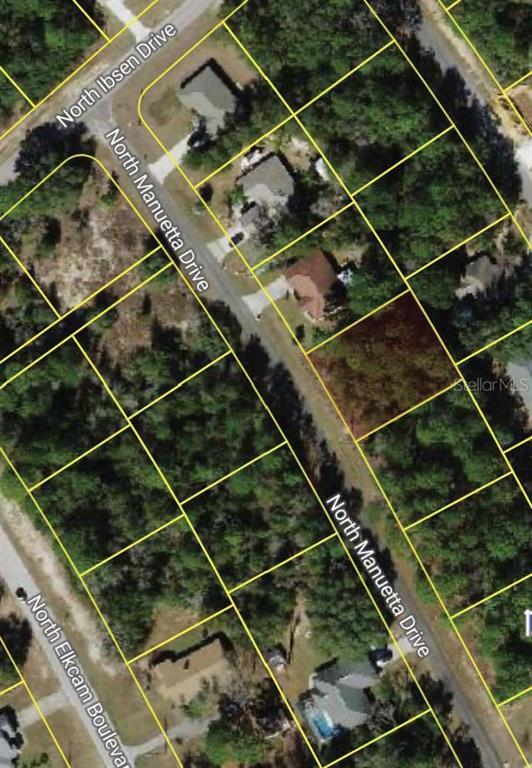This is an aerial map showing residential lots along North Manuetta Drive — 8383 N MANUETTA DRIVE, CITRUS SPRINGS, FL