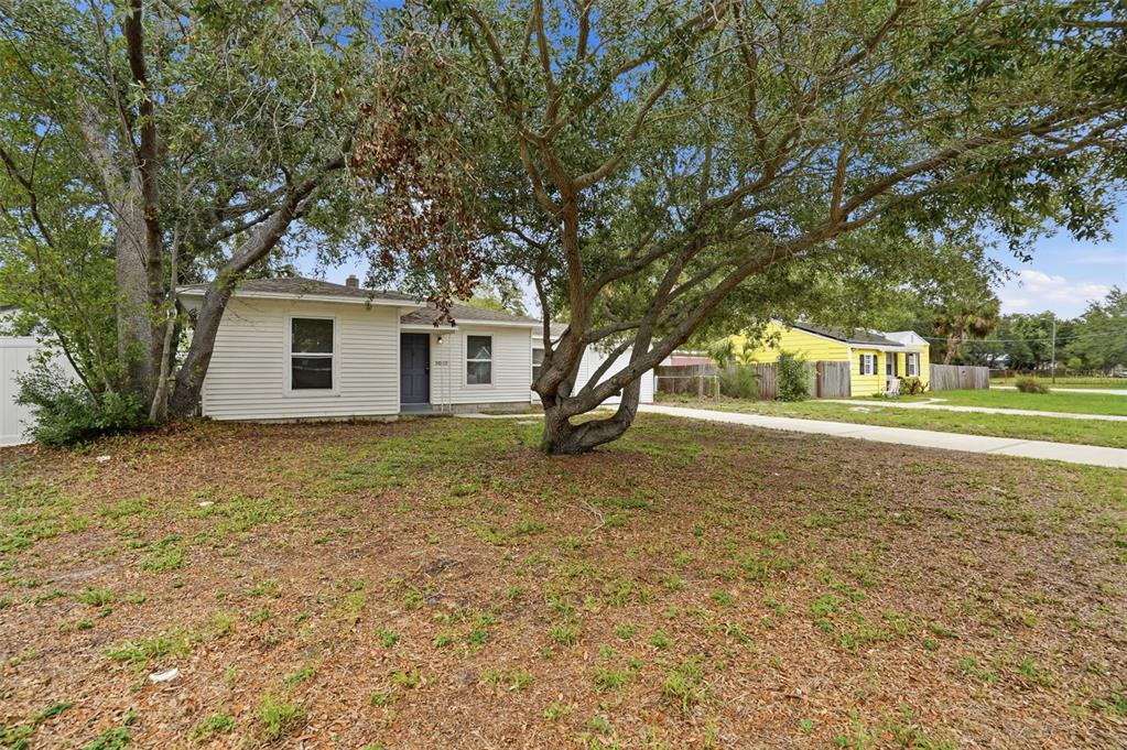 A white single-story house with a dark front door sits behind a large oak tree — 3003 N ADAMS STREET, TAMPA, FL