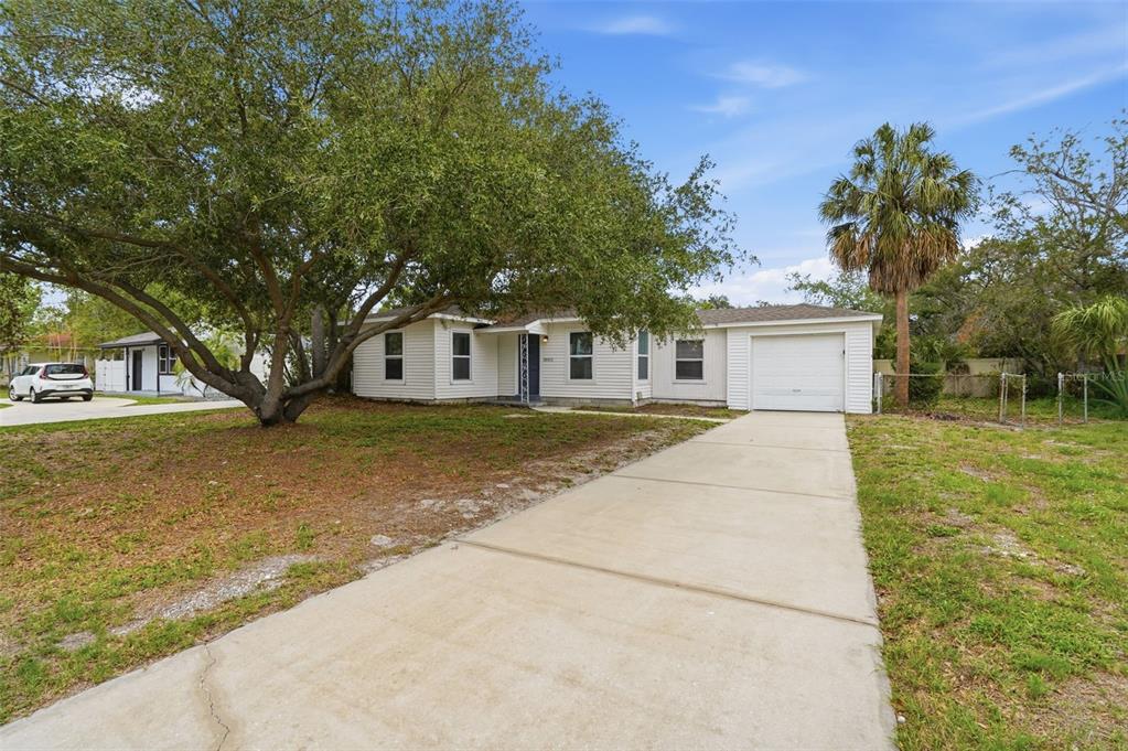 A single-story white house with a concrete driveway and a large tree in the yard — 3003 N ADAMS STREET, TAMPA, FL