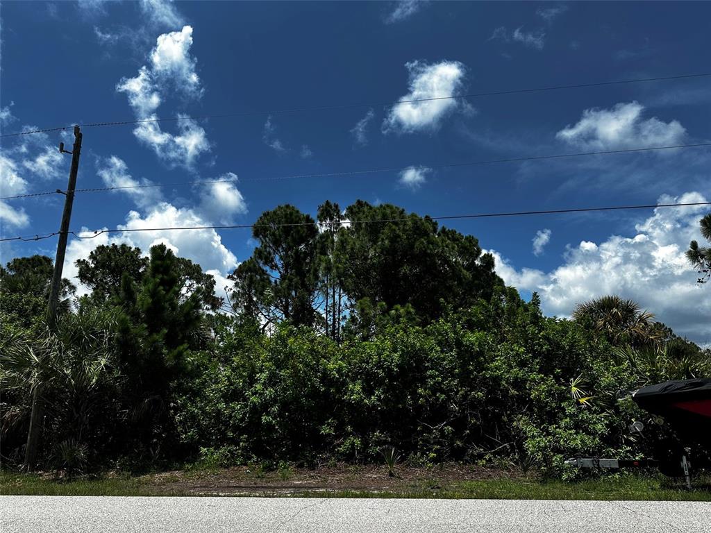 A view of a wooded lot with a utility pole and a boat trailer — 12244 CLARENDON AVENUE, PORT CHARLOTTE, FL