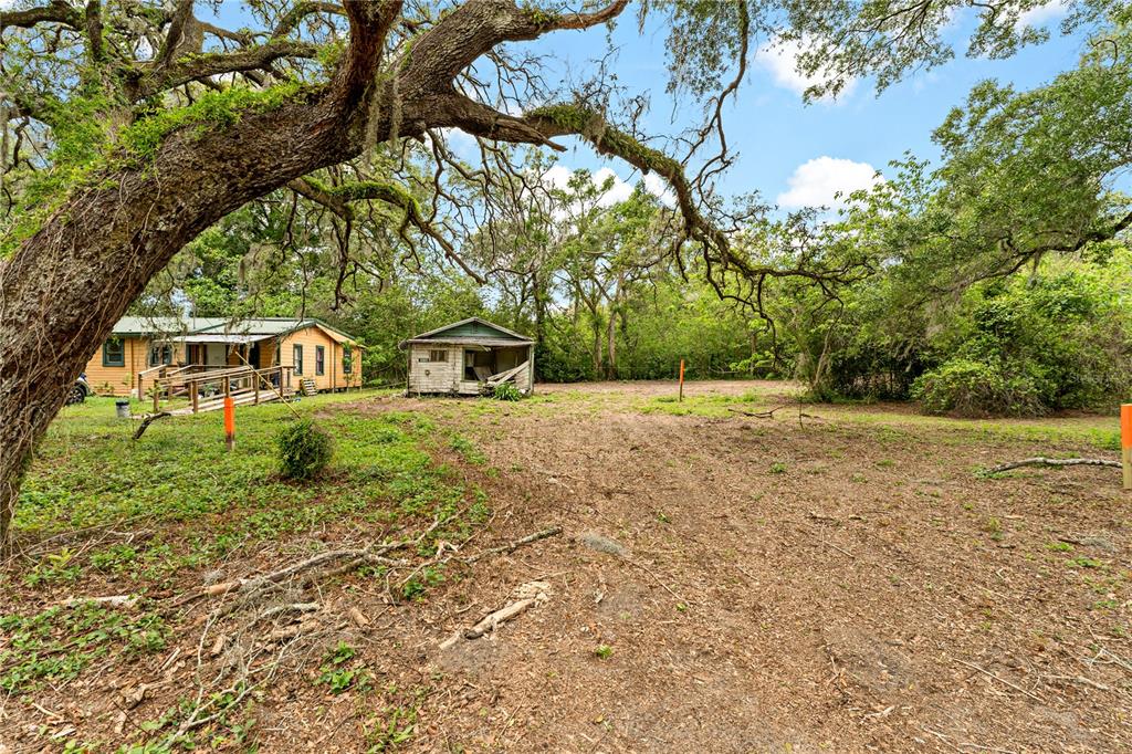 A small wooden house and a shed sit on a large, wooded lot — 40611 OTIS ALLEN ROAD, ZEPHYRHILLS, FL