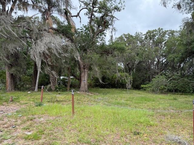 A grassy, vacant lot features several large, mature trees draped with Spanish moss — 412 YORK STREET, WILDWOOD, FL