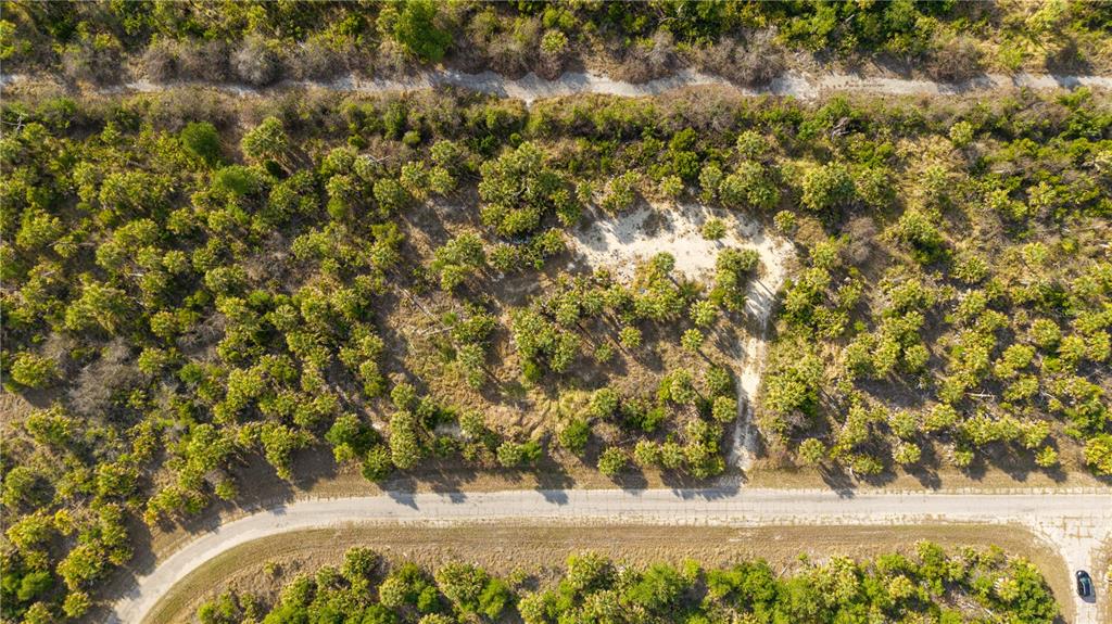 An aerial view shows a wooded lot with a sandy clearing and a paved road — 8606 FIREGLOW CIRCLE, NORTH PORT, FL