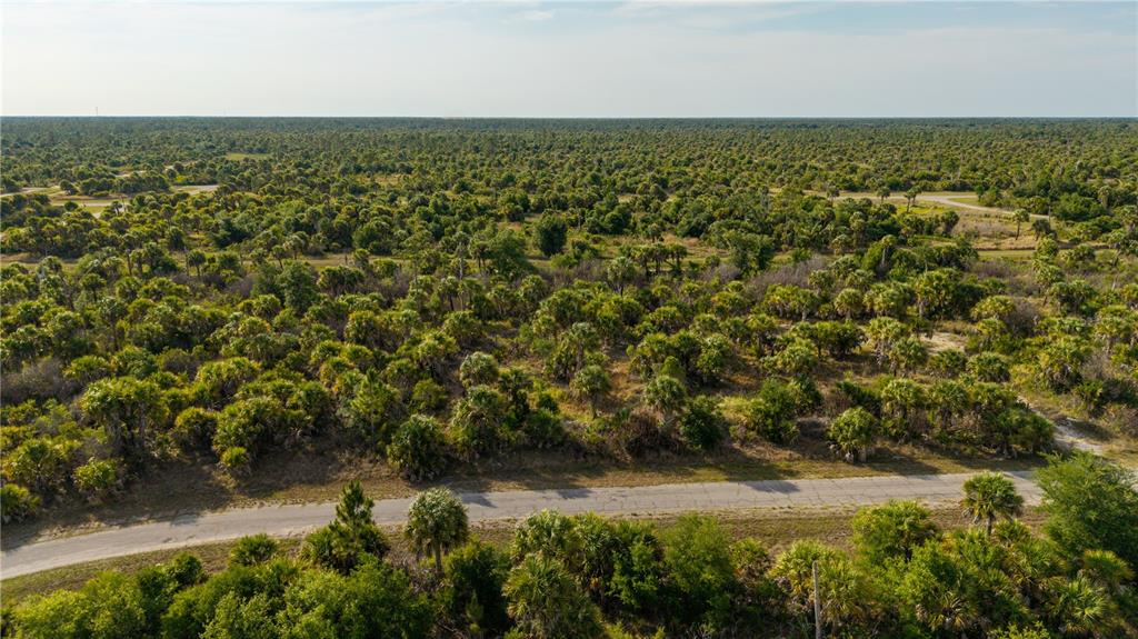 An aerial view shows a paved road running through a landscape of dense scrub vegetation — 8606 FIREGLOW CIRCLE, NORTH PORT, FL