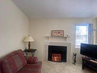 A living room features a fireplace with a mantel, a sofa, and a television — 3739 59TH AVENUE W UNIT 3739, BRADENTON, FL