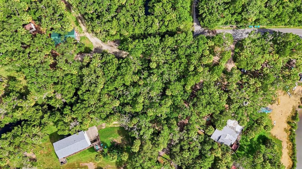 An aerial view shows two houses nestled within a dense, wooded lot near a shoreline — 1114 S URCHIN POINT, CRYSTAL RIVER, FL