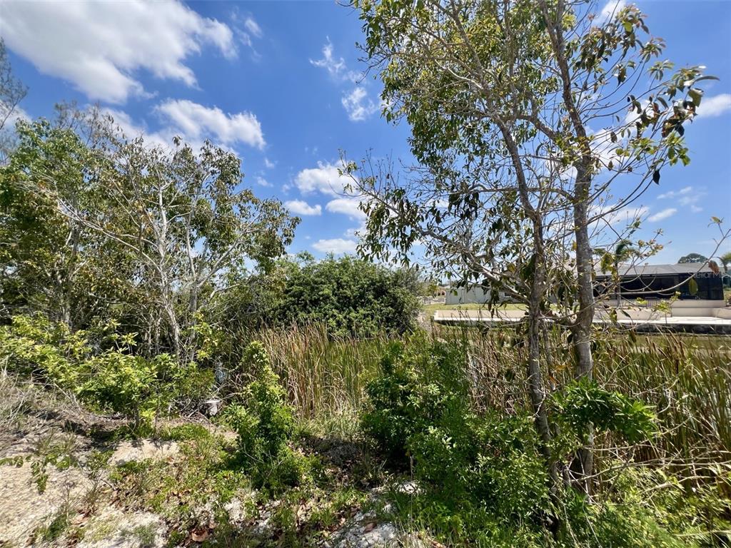 A view of a grassy, wooded area with a pond and a house in the background — 1031 NW 20TH PLACE, CAPE CORAL, FL