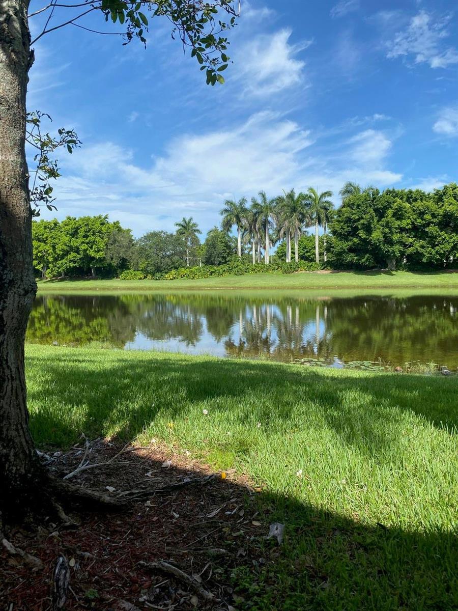 A view of a calm lake surrounded by green grass and tall palm trees — 2253 Salerno Circle # 2253, Weston FL 33327, WESTON, FL