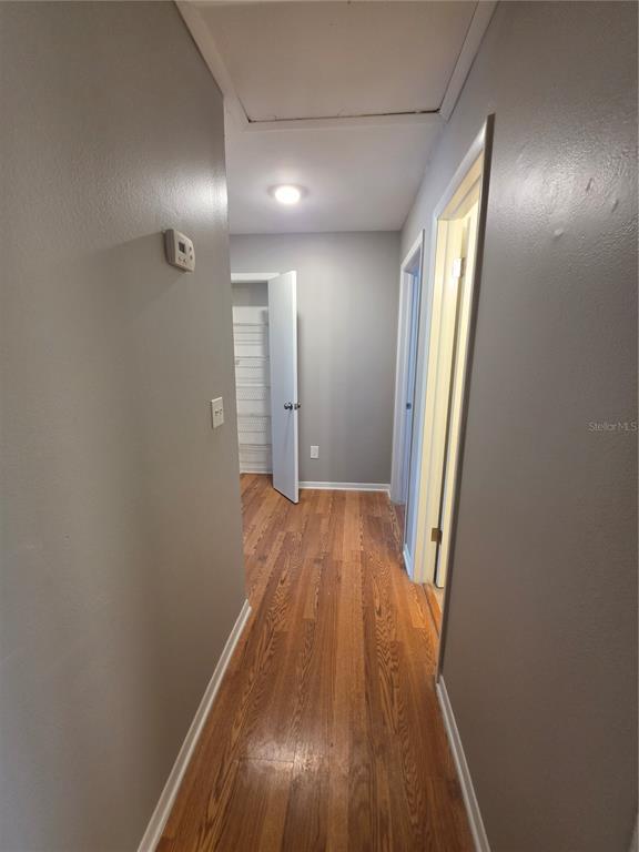 A hallway with wood-look flooring, gray walls, a closet, and two doorways — 11038 REGENCY COMMONS COURT, ORLANDO, FL