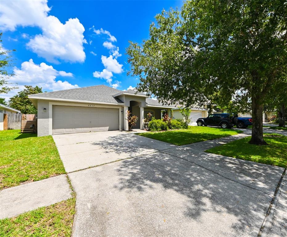 A single-story house with a two-car garage, concrete driveway, and a large tree in front — 4517 WILD PLUM LANE, LUTZ, FL