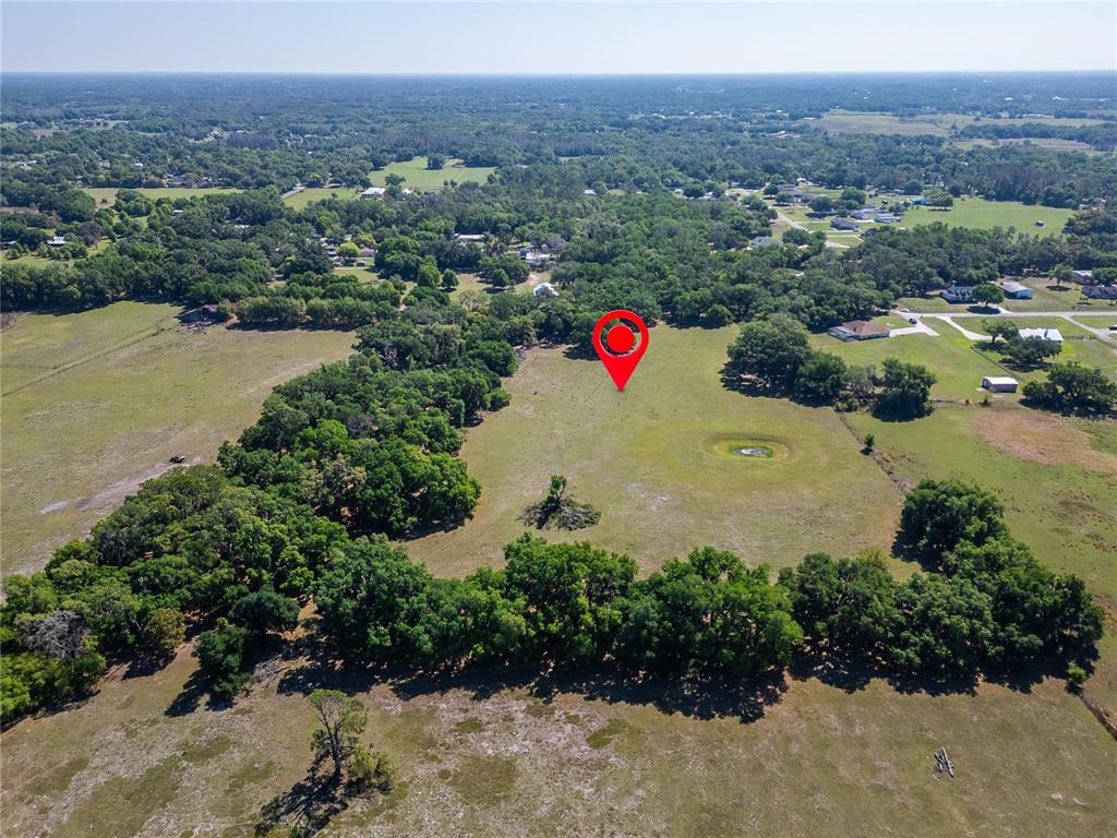 An aerial view shows a large, grassy field surrounded by trees with a red location pin — CARLTON ROAD, PLANT CITY, FL