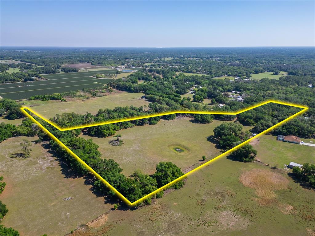 An aerial view shows a large, grassy plot of land outlined in yellow — CARLTON ROAD, PLANT CITY, FL