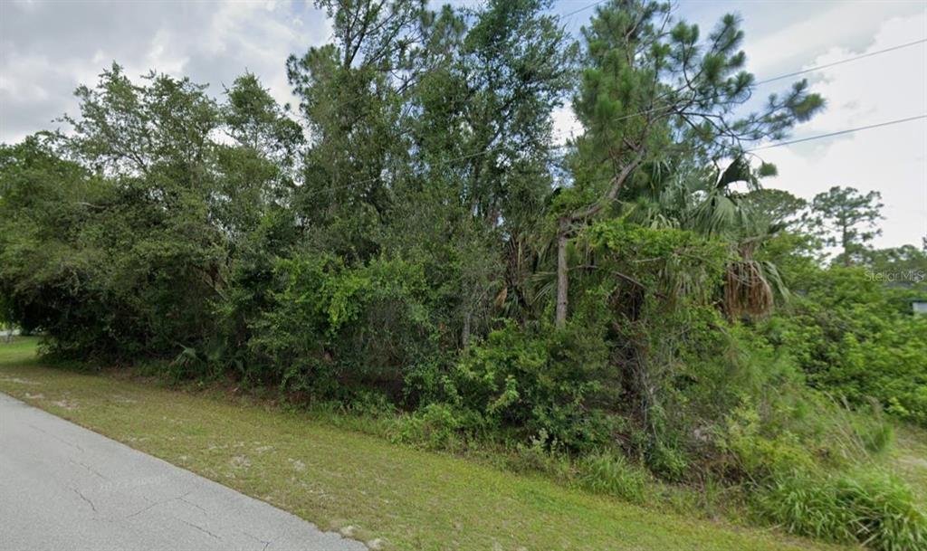 A dense, wooded vacant lot sits adjacent to a paved road under a cloudy sky — 3824 HIGHLIGHT STREET, FORT MYERS, FL