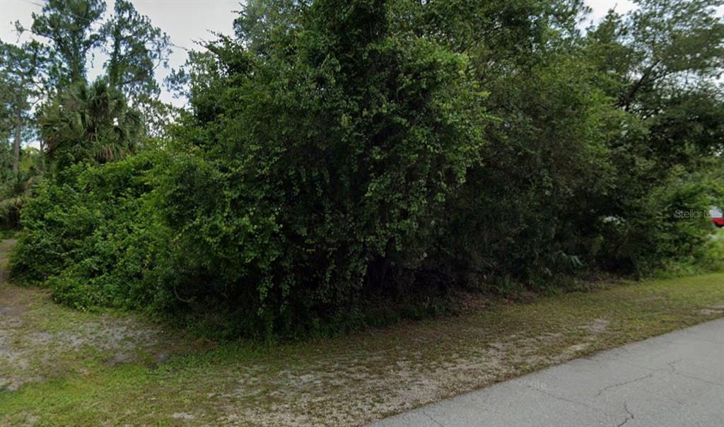 A dense, overgrown wooded lot sits adjacent to a paved residential street — 3824 HIGHLIGHT STREET, FORT MYERS, FL