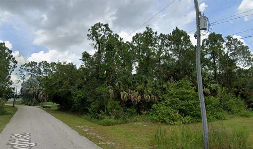 A paved road leads past a densely wooded, undeveloped lot with a utility pole — 3824 HIGHLIGHT STREET, FORT MYERS, FL