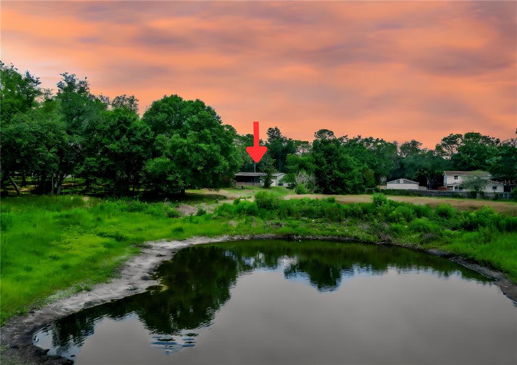 A house sits behind a pond under a sunset sky, marked by a red arrow — 1819 SINCLAIR HILLS ROAD, LUTZ, FL