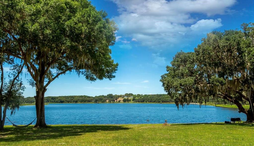 A grassy lawn overlooks a lake framed by two large oak trees under a blue sky — 34710 CLAYTON ROAD, DADE CITY, FL