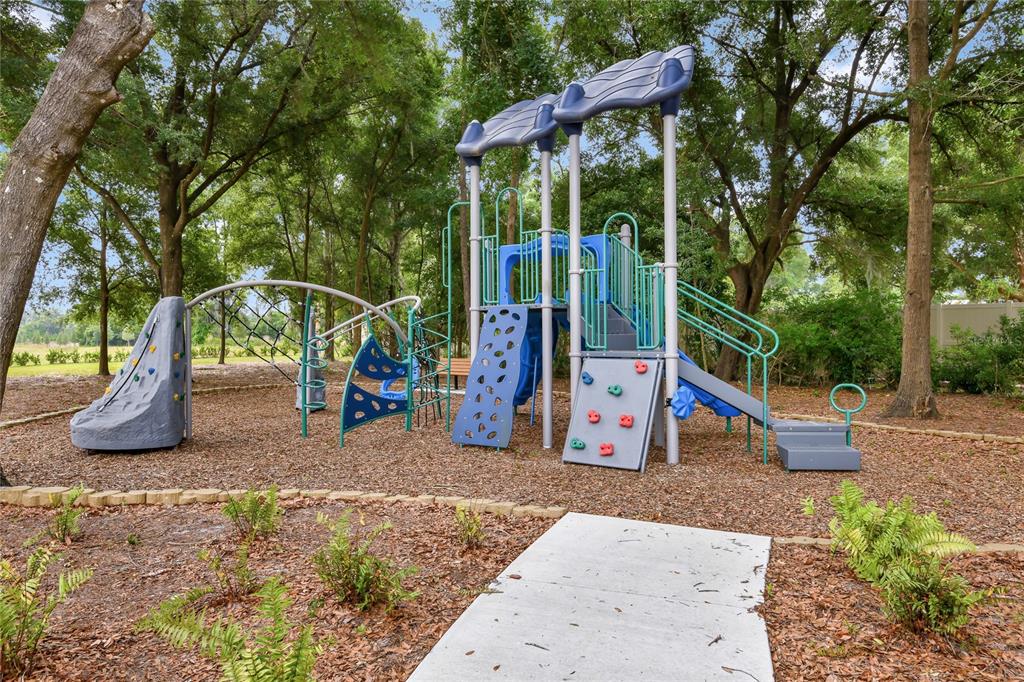 A playground with climbing walls, slides, and a metal jungle gym set in a wooded area — 1774 CARNELIAN STREET, DELAND, FL