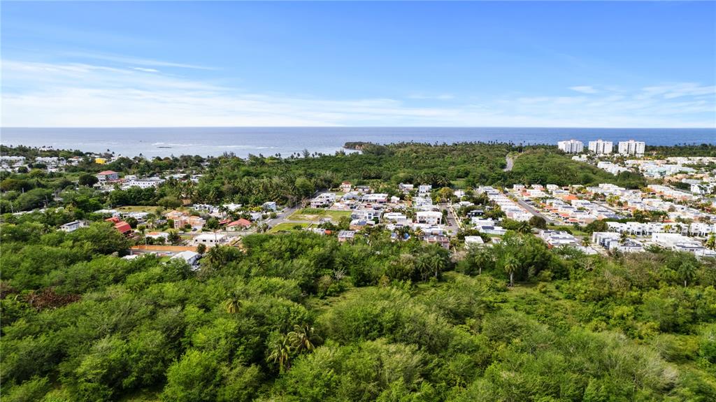 An aerial view shows a coastal town with dense green vegetation and residential buildings — Estancias De Cerro Grodo CALLE PLAZA FABIAN UNIT 63, VEGA ALTA, PR