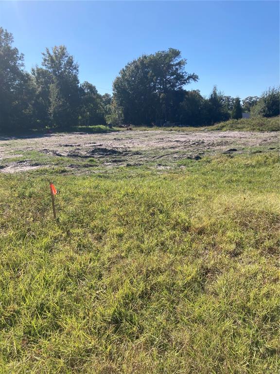 6277 TOWER ROAD, LAND O LAKES, FL — photo 2 of 2
