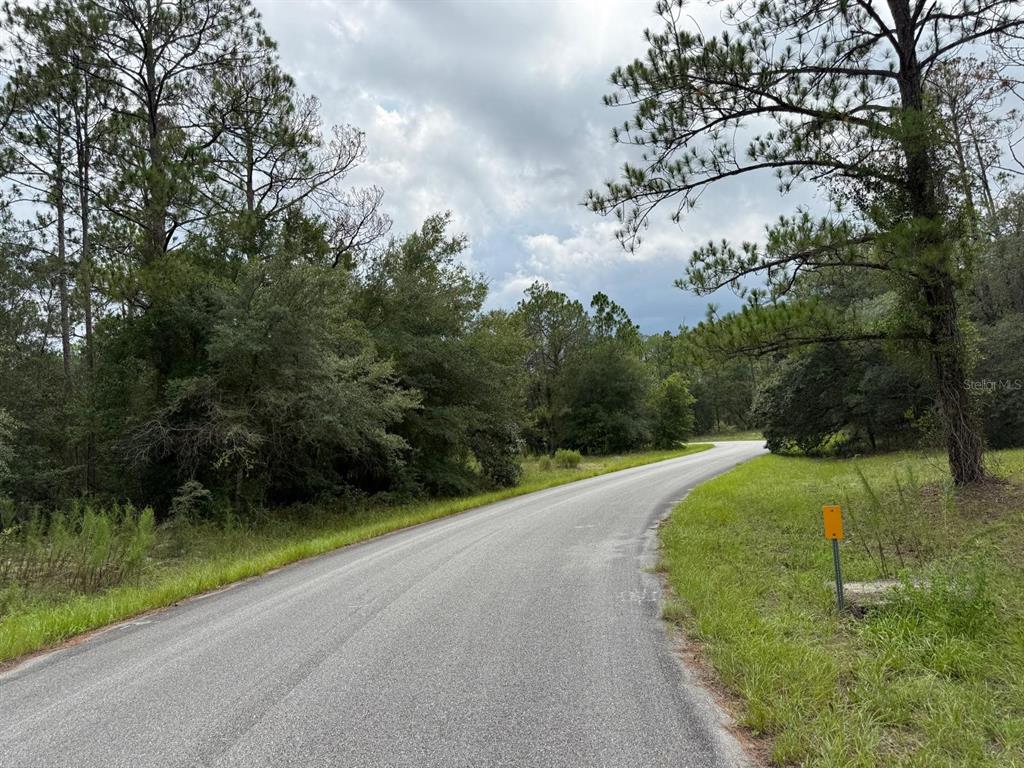 A paved road curves through a wooded area under a cloudy sky — 6461 N ELNORA WAY, CITRUS SPRINGS, FL