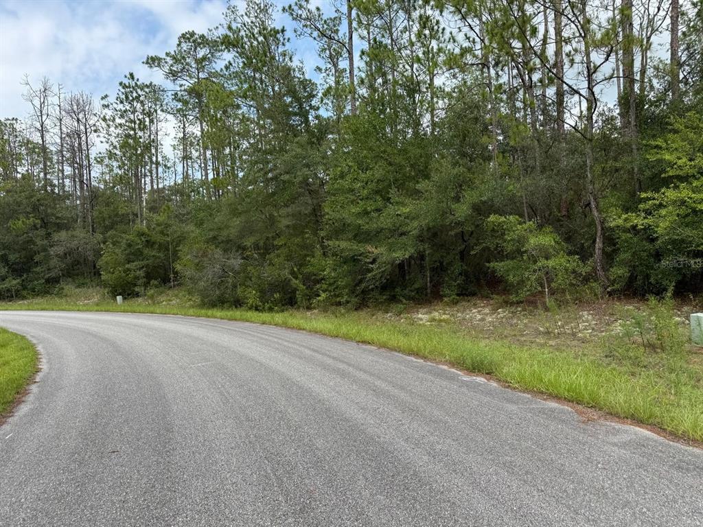 A paved road curves past a wooded lot with dense trees and underbrush — 6461 N ELNORA WAY, CITRUS SPRINGS, FL
