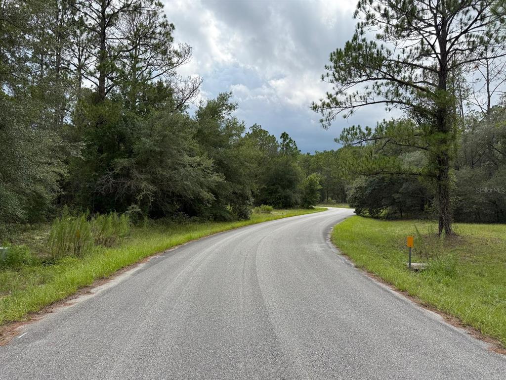 A paved road curves through a wooded area under a cloudy sky — 6461 N ELNORA WAY, CITRUS SPRINGS, FL