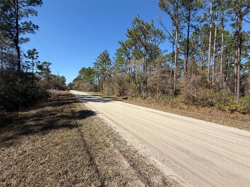 A dirt road stretches through a wooded area under a clear blue sky — 4664 CLOVE AVENUE, BUNNELL, FL