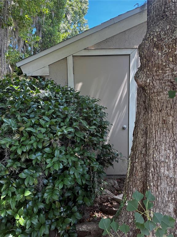 A beige exterior door is situated next to a large bush and a tree trunk — 1701 SE 24TH ROAD UNIT 201, OCALA, FL