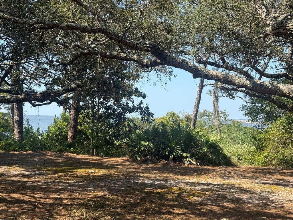 A view of a coastal landscape with large trees framing a distant body of water — 17 S BAYSHORE DRIVE, EASTPOINT, FL