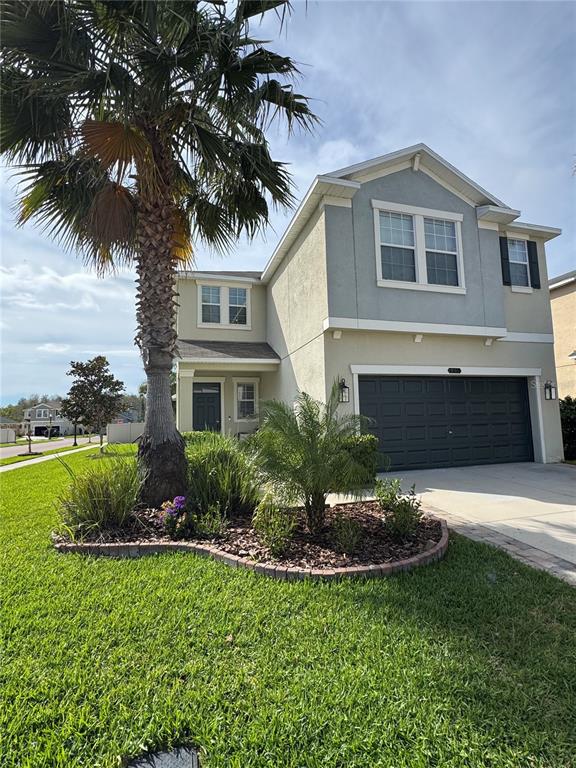 A two-story house with a palm tree in the front yard and a dark garage — 8165 FAIRE FROST LANE, LAND O LAKES, FL