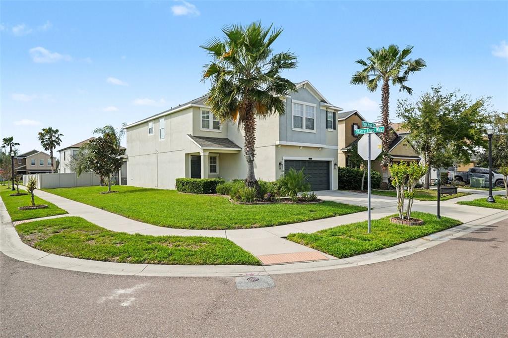 A two-story suburban house with a palm tree in the front yard at a corner — 8165 FAIRE FROST LANE, LAND O LAKES, FL