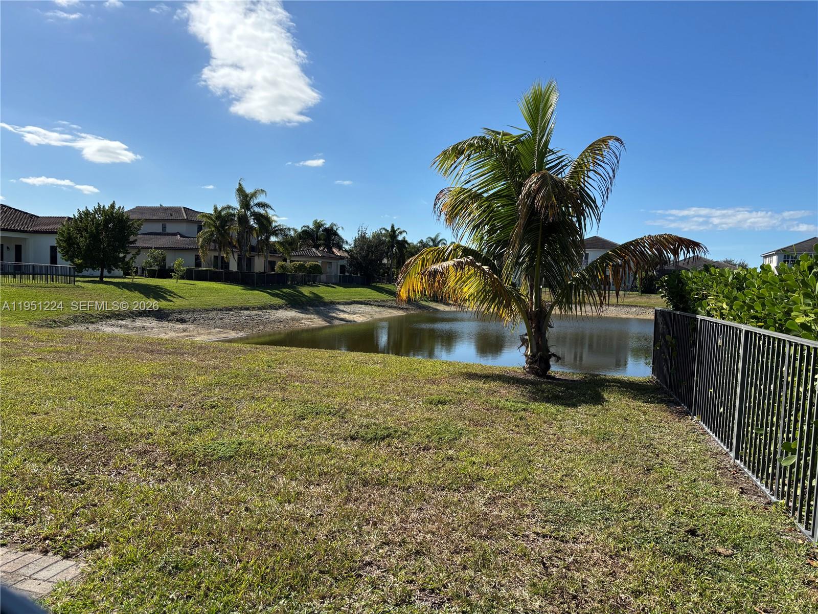 A grassy backyard overlooks a small pond with a palm tree and distant houses — 4783 Rosetta Terrace, Ave Maria FL 34142, AVE MARIA, FL