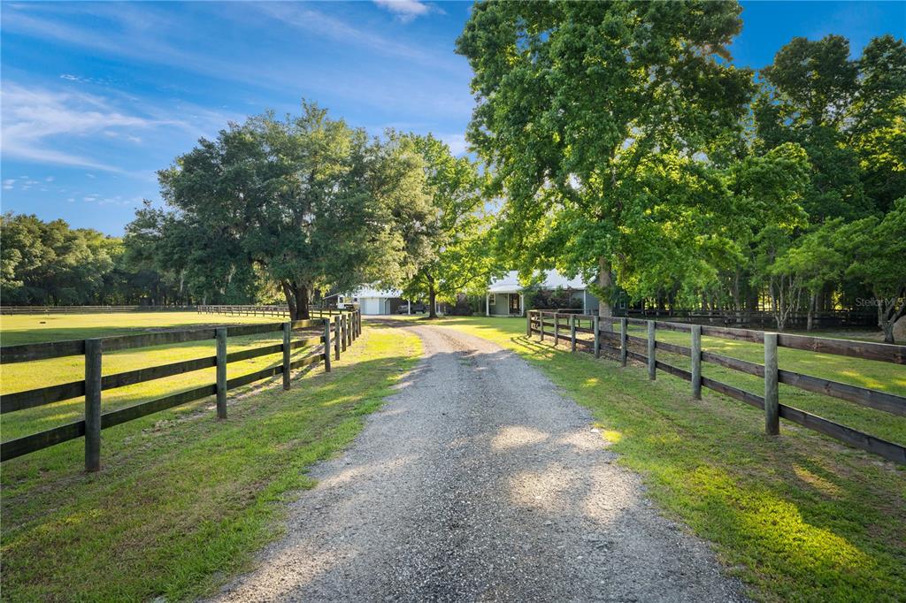 A gravel driveway leads toward a house surrounded by trees and wooden rail fencing — 5901 SOLANA STREET, ELKTON, FL