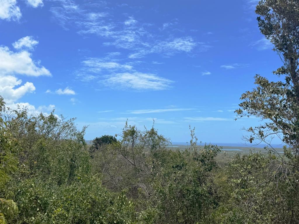 A view of a coastal landscape with dense green vegetation under a blue sky — 89 CALLE CASA HIX, VIEQUES, PR