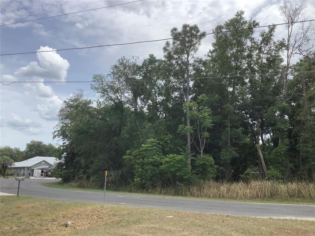 A vacant, wooded residential lot sits next to a paved road and a nearby house — 0 BAHIA CIRCLE LANE, OCALA, FL