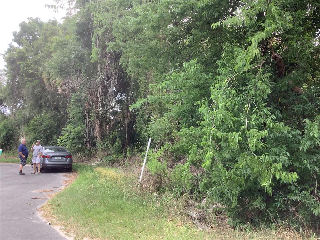 Two men stand next to a parked car beside a dense, overgrown wooded lot — 0 BAHIA CIRCLE LANE, OCALA, FL