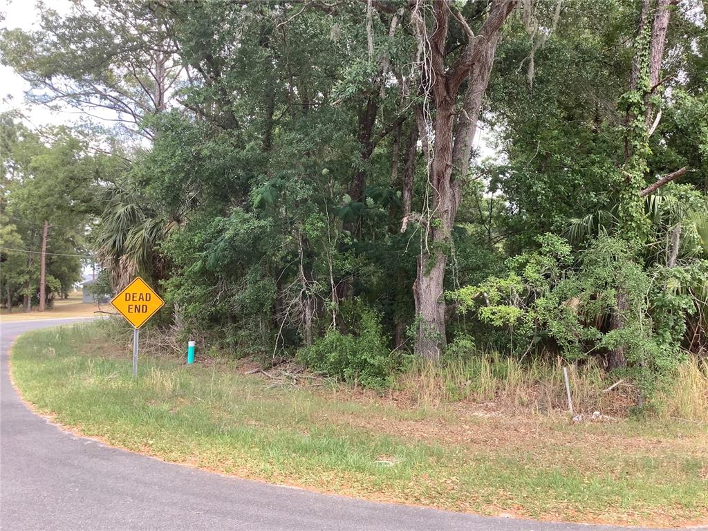 A yellow dead end sign stands beside a wooded lot along a paved road — 0 BAHIA CIRCLE LANE, OCALA, FL