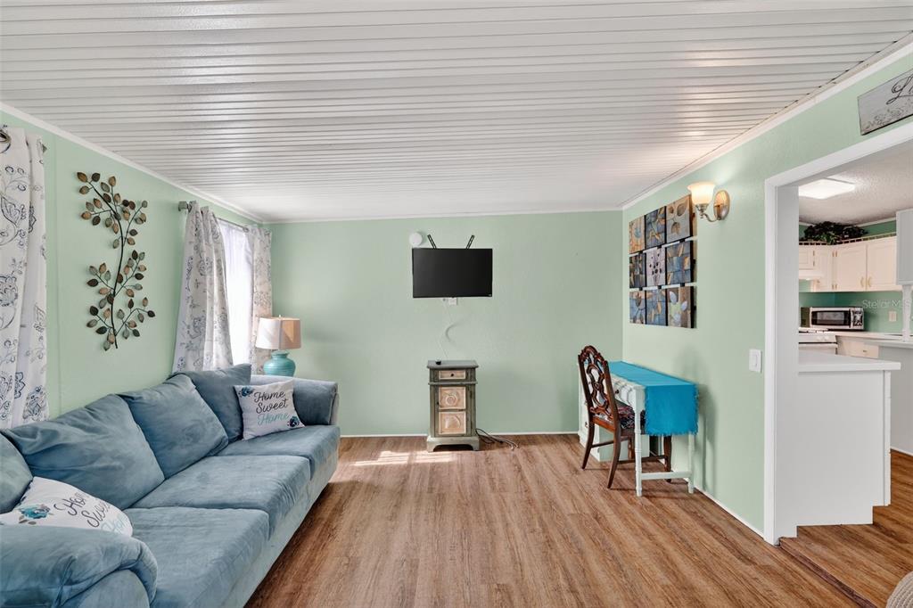 A living room with light green walls, wood-look flooring, a blue sofa, and a television — 38237 ORIOLE WAY, LEESBURG, FL