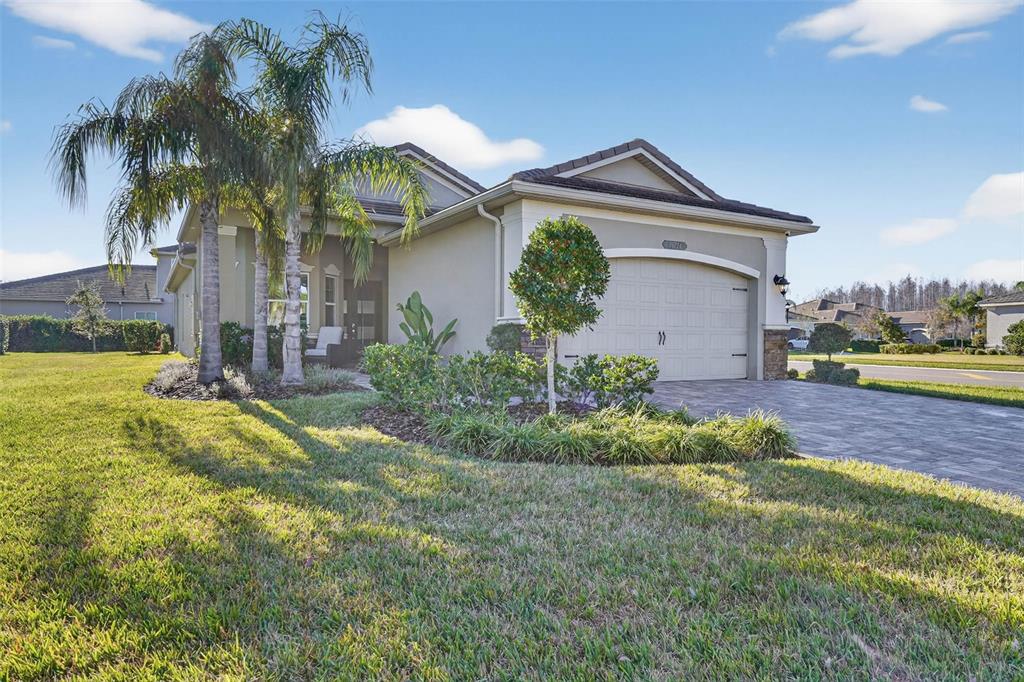 A single-story house with a beige stucco exterior, a two-car garage, and palm trees — 30724 LINDENTREE DRIVE, WESLEY CHAPEL, FL