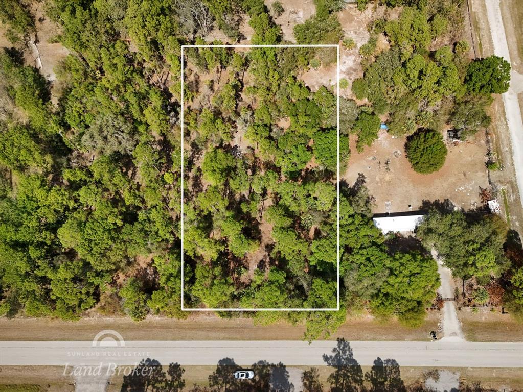 An aerial view shows a rectangular plot of wooded land outlined in white — 439 AVENIDA DEL SUR, CLEWISTON, FL