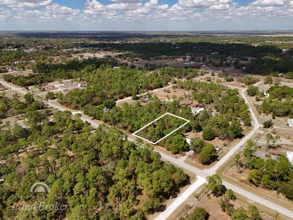An aerial view shows a rectangular plot of land outlined in white amidst wooded terrain — 439 AVENIDA DEL SUR, CLEWISTON, FL