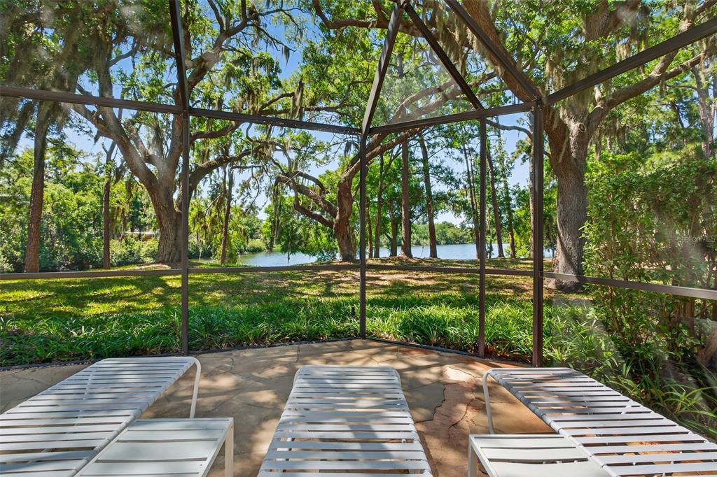 A screened-in patio with lounge chairs overlooks a grassy yard and a lake with trees — 4750 TIVOLI AVENUE, SARASOTA, FL