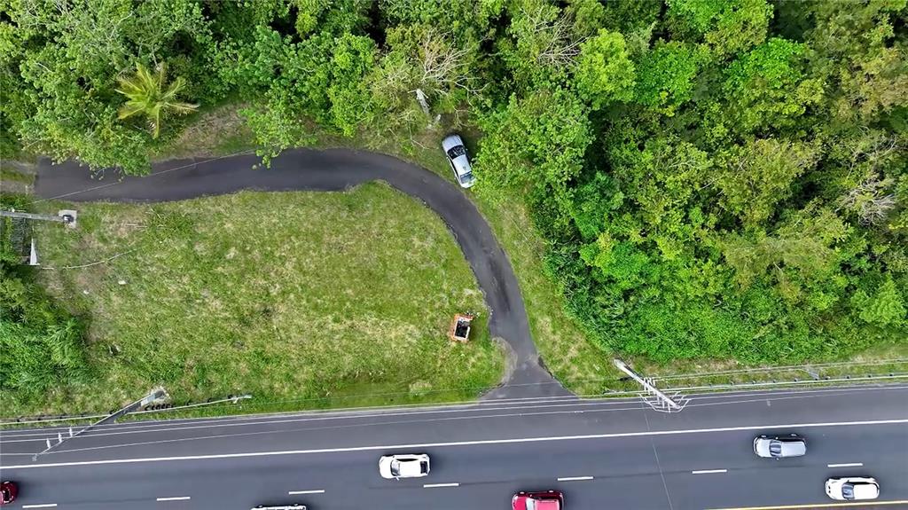 An aerial view shows a paved driveway leading from a highway into a wooded lot — PR-3 KM 28.5 ZARZAL WARD, RIO GRANDE, PR